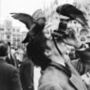 Meet your Posher, Tristan